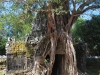 Temples of Angkor 44 43653888